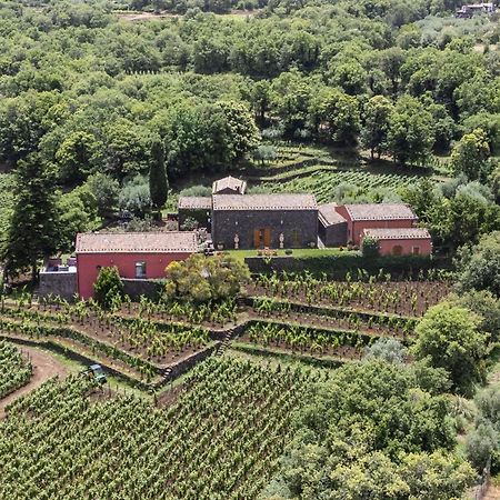 Terrazze Dell'Etna - Country Rooms And Apartments Рандаццо Екстер'єр фото
