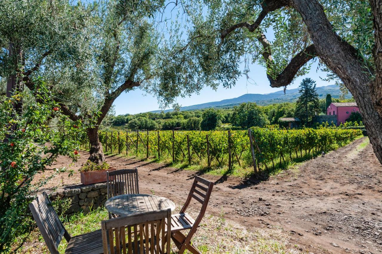 Terrazze Dell'Etna - Country Rooms And Apartments Рандаццо Екстер'єр фото