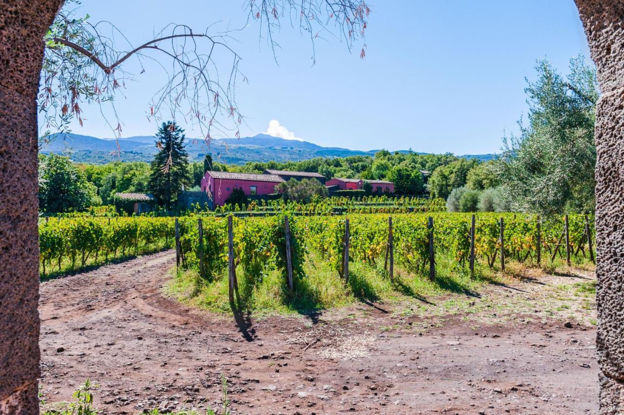 Terrazze Dell'Etna - Country Rooms And Apartments Рандаццо Екстер'єр фото