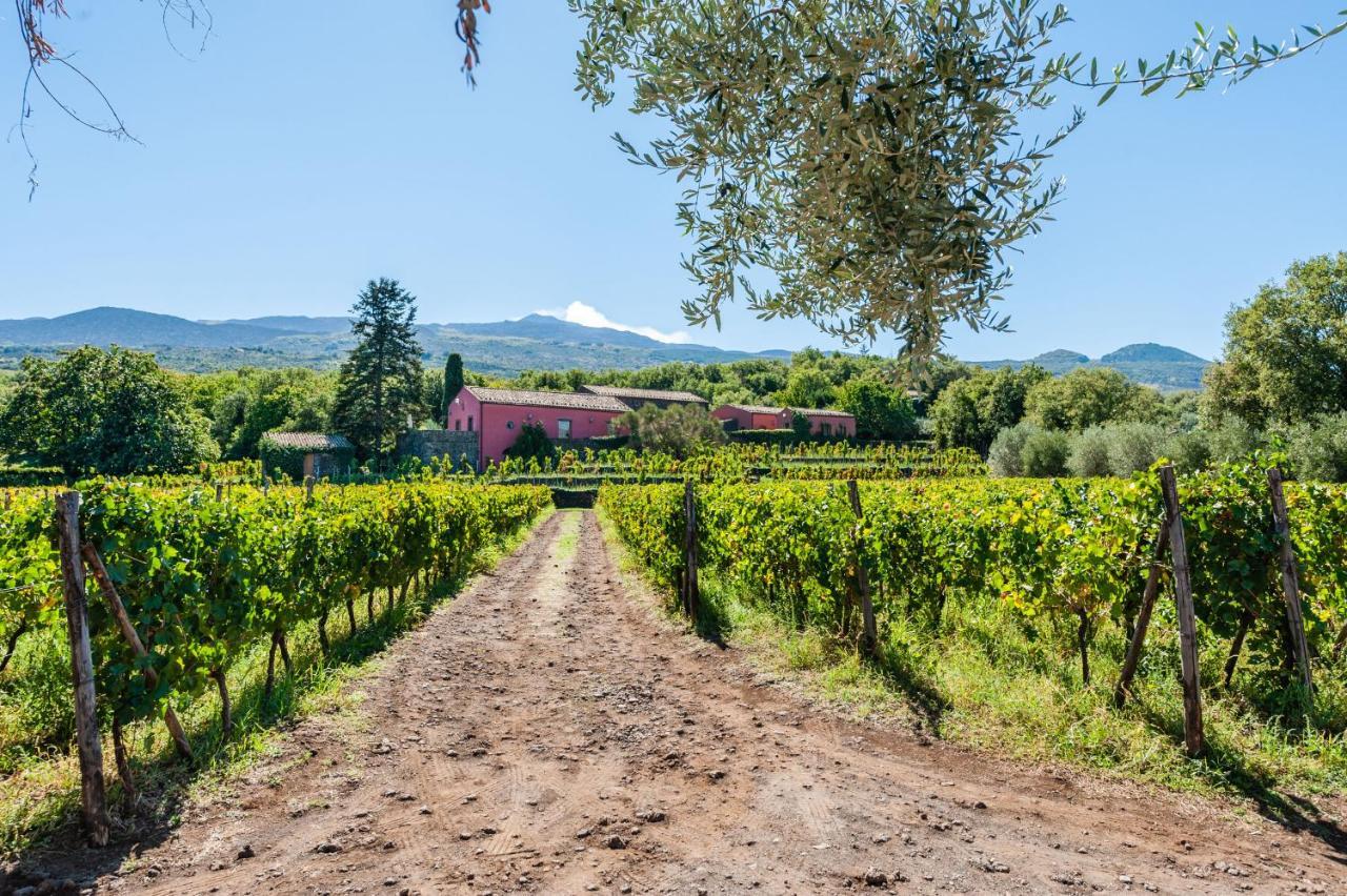 Terrazze Dell'Etna - Country Rooms And Apartments Рандаццо Екстер'єр фото