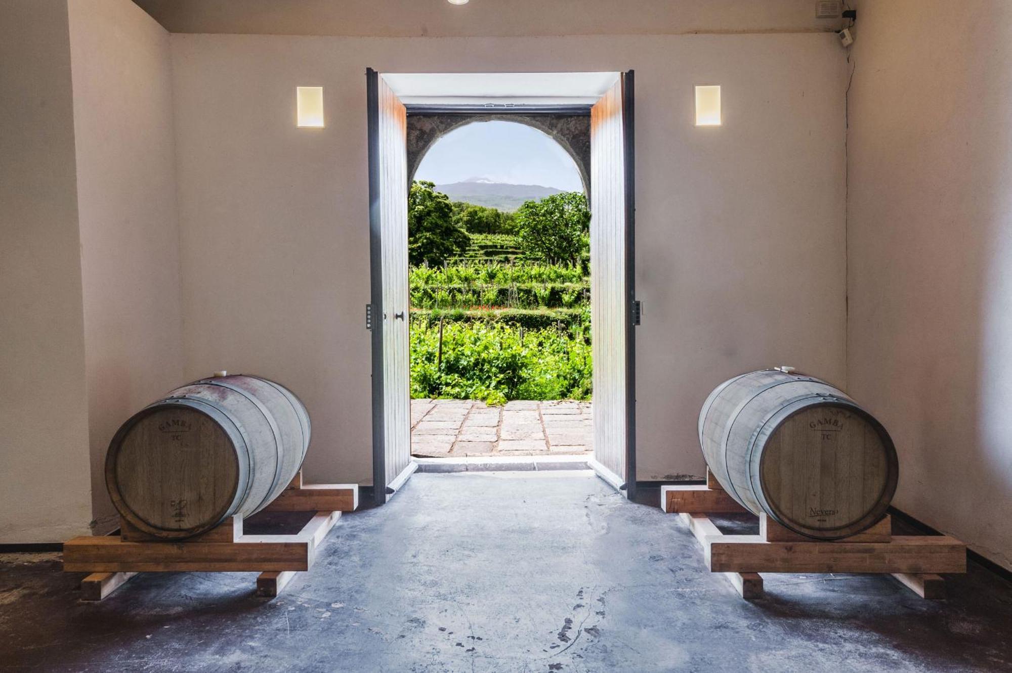 Terrazze Dell'Etna - Country Rooms And Apartments Рандаццо Екстер'єр фото