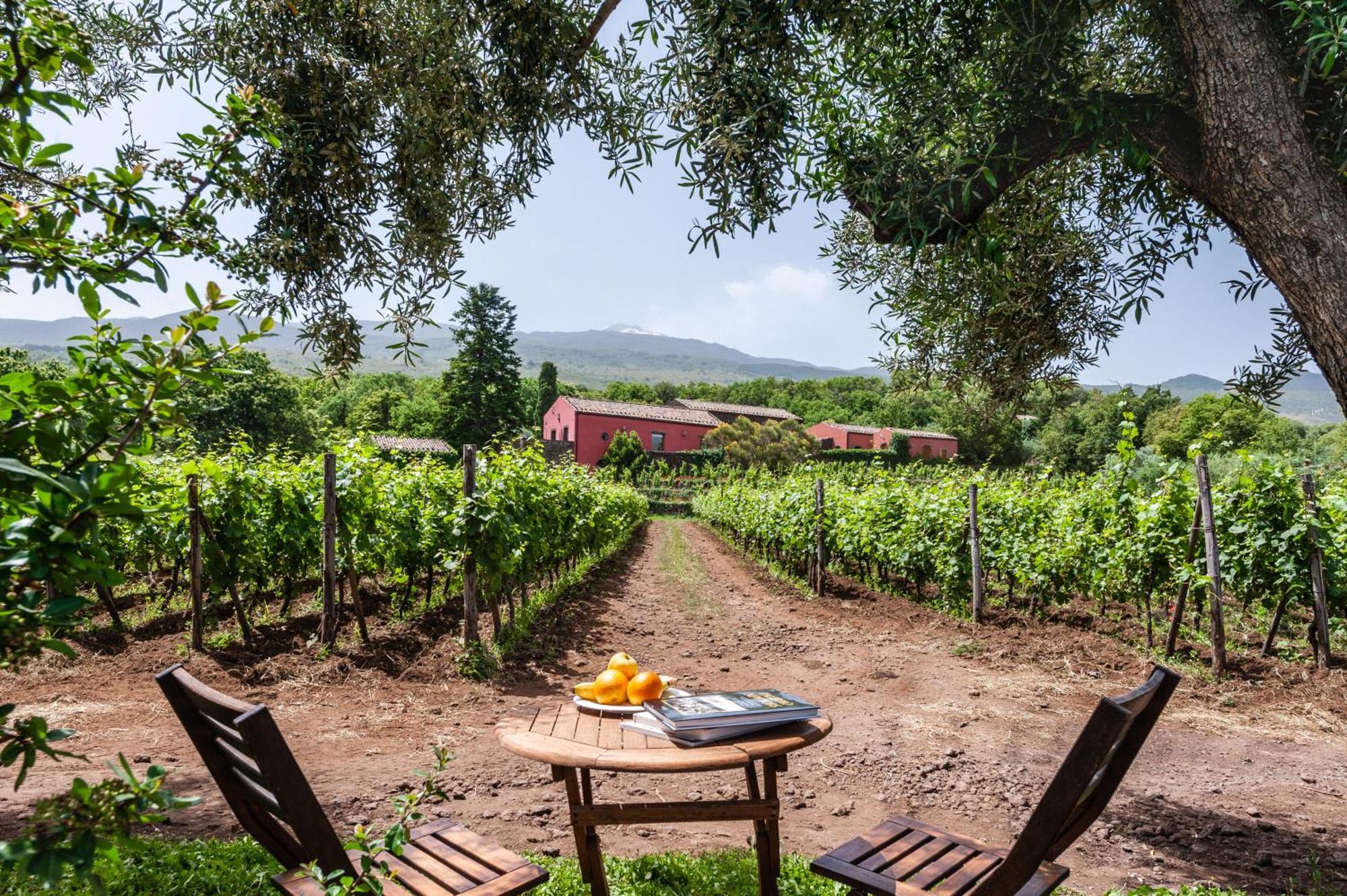 Terrazze Dell'Etna - Country Rooms And Apartments Рандаццо Екстер'єр фото