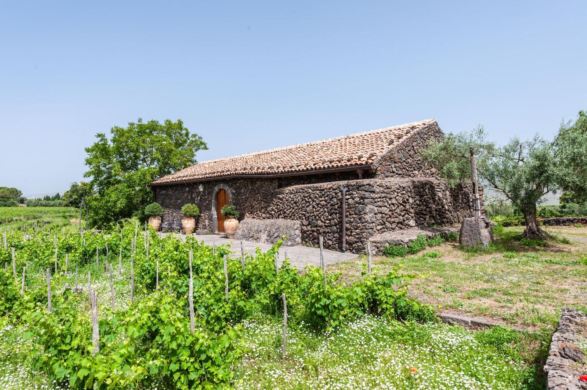 Terrazze Dell'Etna - Country Rooms And Apartments Рандаццо Екстер'єр фото